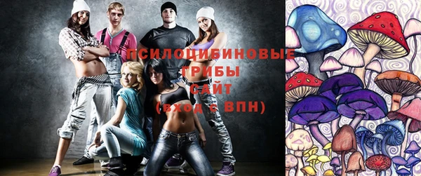 марки lsd Каменногорск