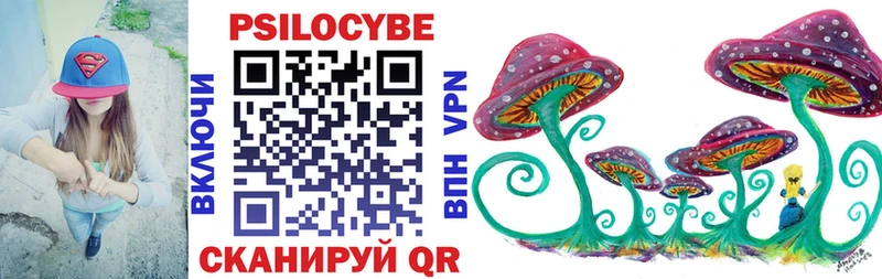 Псилоцибиновые грибы GOLDEN TEACHER  Купить  Заинск 