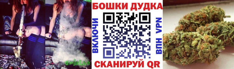 Конопля сатива  Купить закладки  Заинск 